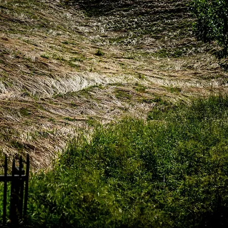 Wuidererhuettn, Charlet In Alleinlage Mit Freistehendem Saunahaus Horská chata Großkirchheim