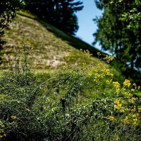 Wuidererhuettn, Charlet In Alleinlage Mit Freistehendem Saunahaus