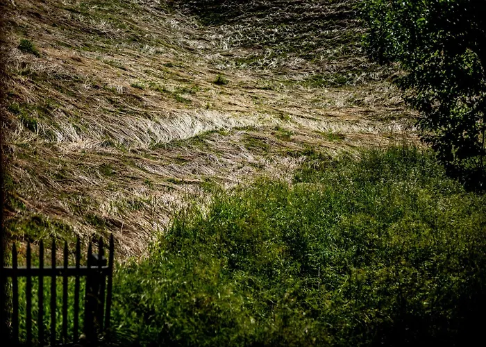 Wuidererhüttn, Charlet In Alleinlage Mit Freistehendem Saunahaus Chalet Großkirchheim