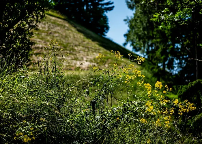 Wuidererhüttn, Charlet In Alleinlage Mit Freistehendem Saunahaus